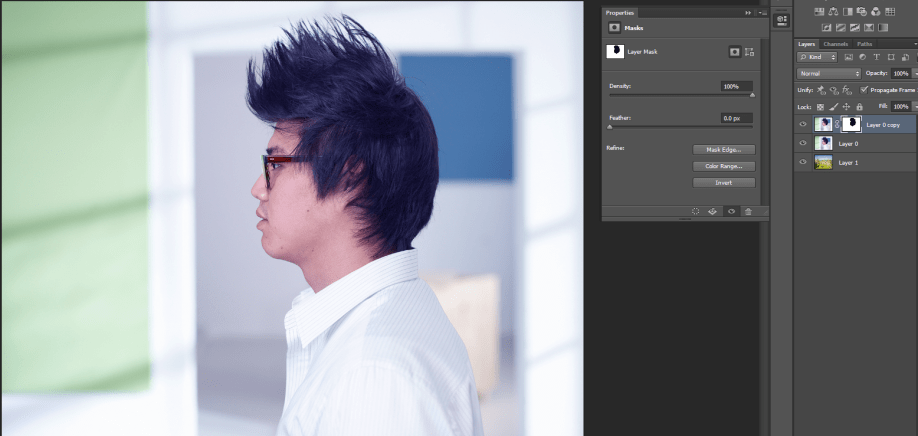 Layer Mask