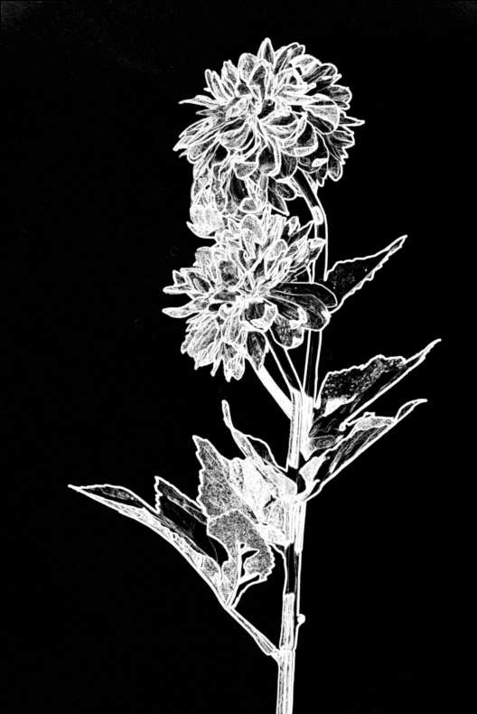 Screen Shot 2020-02-07 at 13.18.10